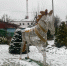 В городском парке новый объект. - Спас-Деменский район
