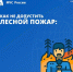 Как не допустить ЛЕСНОЙ ПОЖАР. - Спас-Деменский район